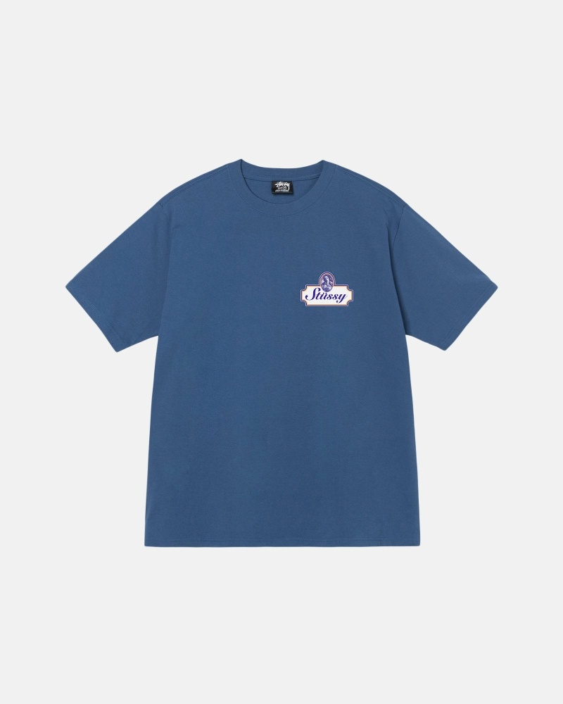 Stussy Authentic Men's T Shirts Blue | IL0000095