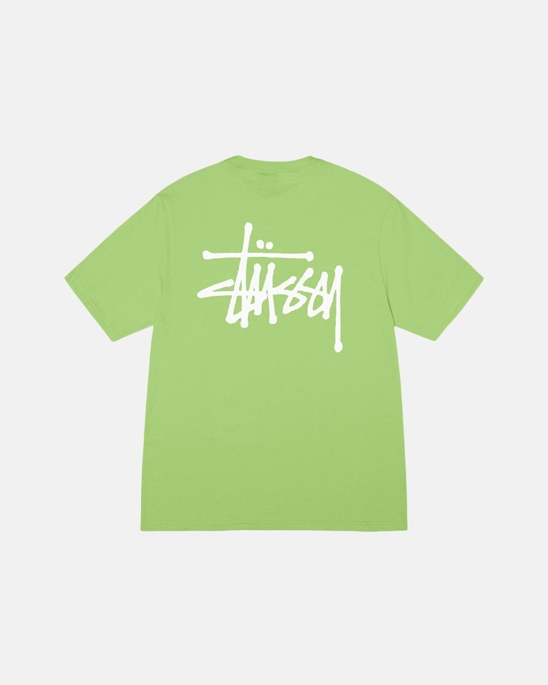 Stussy Basic Men\'s T Shirts Green | IL0000108