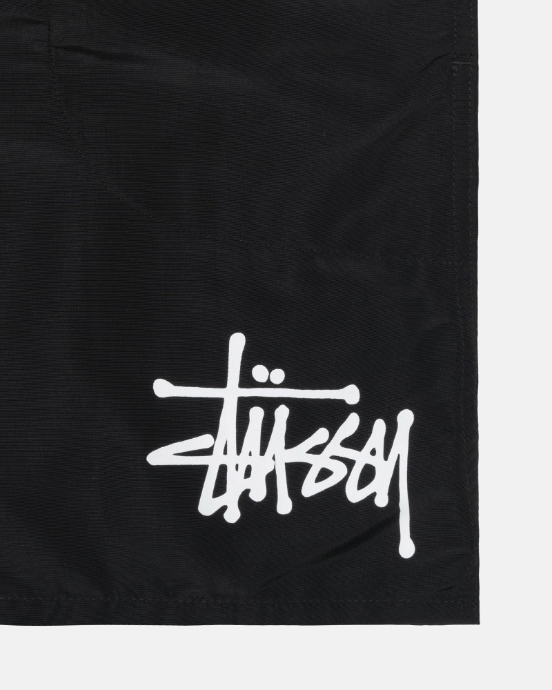 Stussy Big Basic Men's Shorts Black | IL0000621