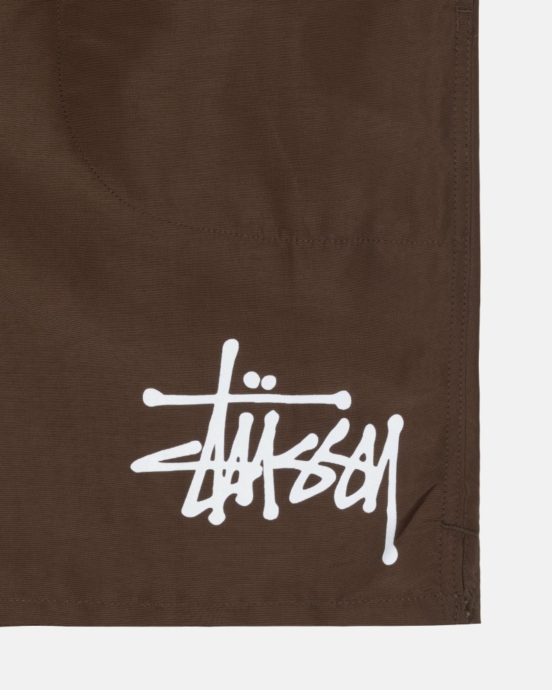 Stussy Big Basic Men's Shorts Coffee | IL0000620