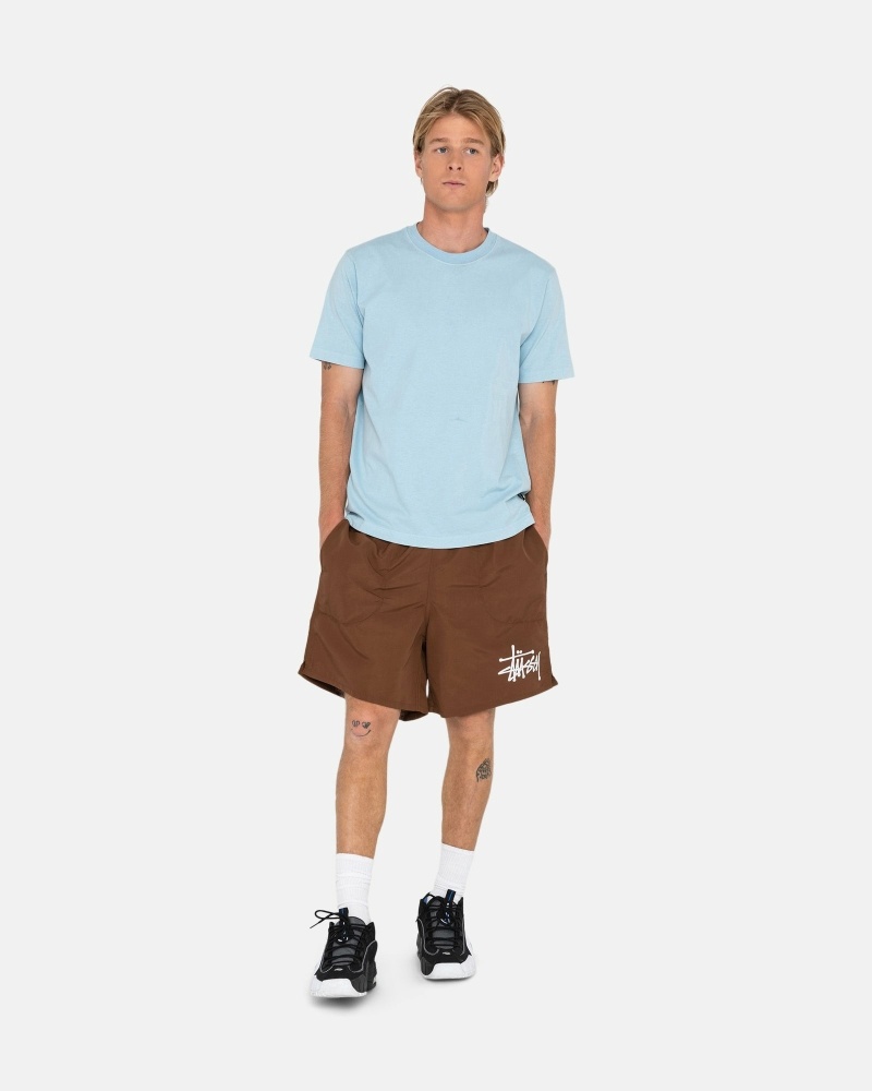 Stussy Big Basic Men's Shorts Coffee | IL0000620