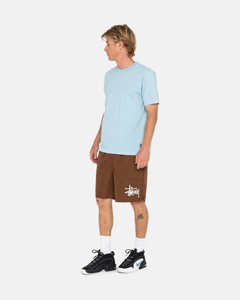 Stussy Big Basic Men's Shorts Coffee | IL0000620