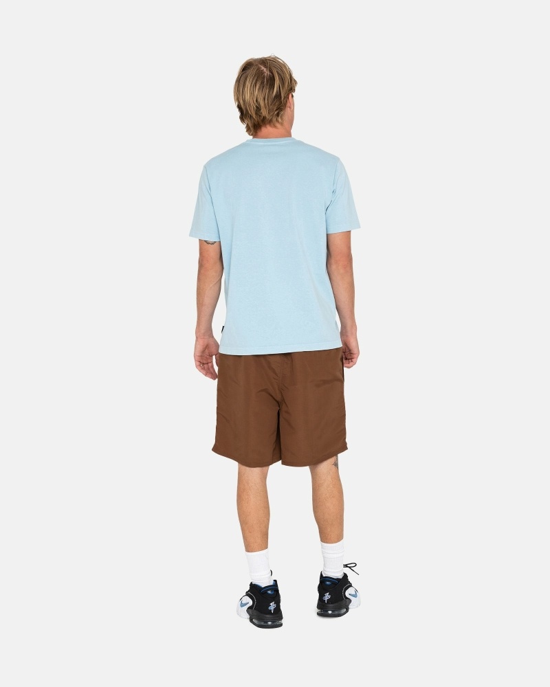 Stussy Big Basic Men's Shorts Coffee | IL0000620