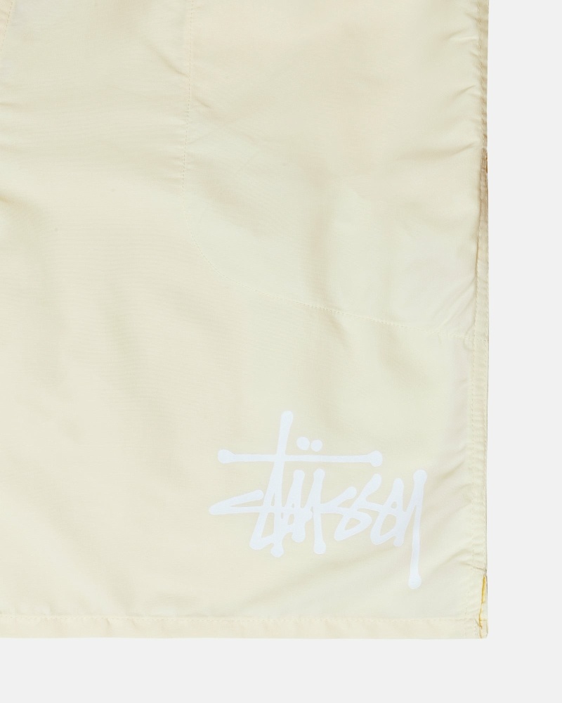 Stussy Big Basic Men's Shorts Cream | IL0000619