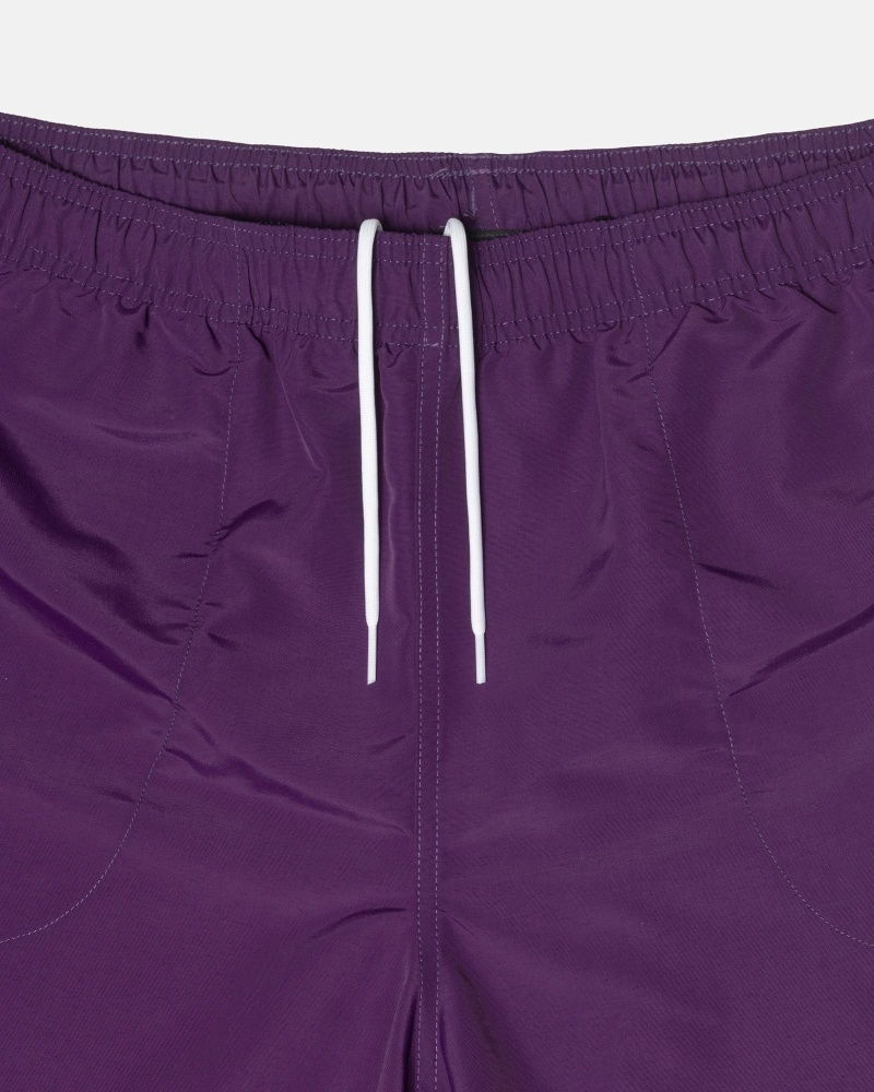 Stussy Big Basic Men's Shorts Purple | IL0000618