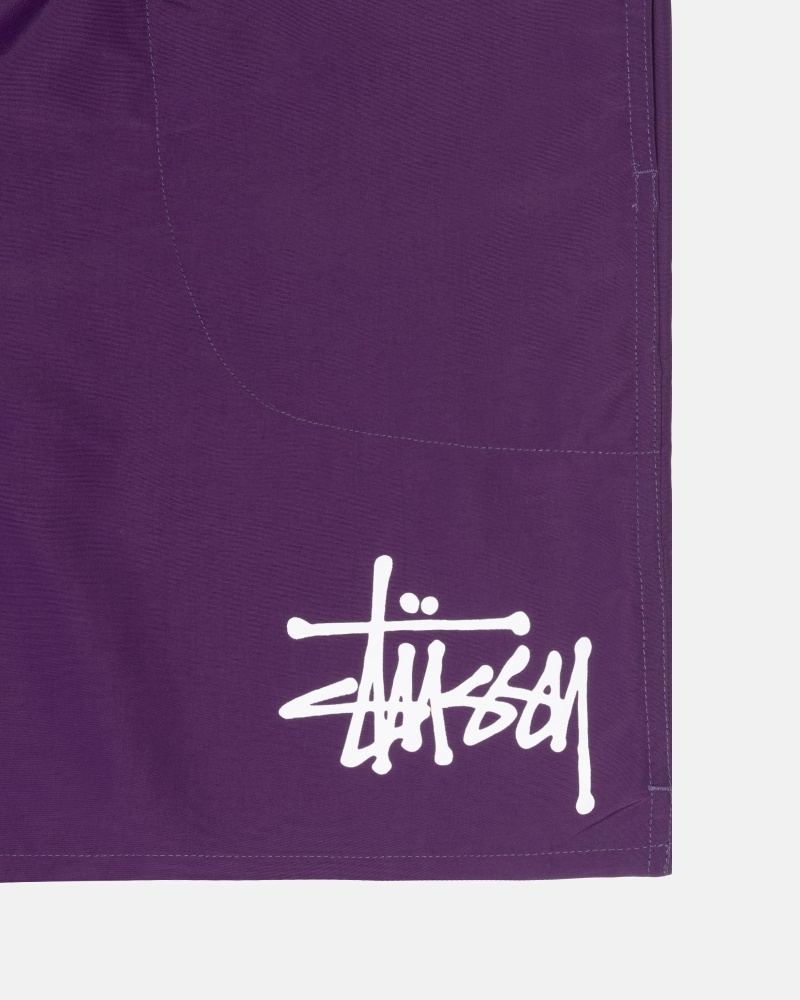 Stussy Big Basic Men's Shorts Purple | IL0000618