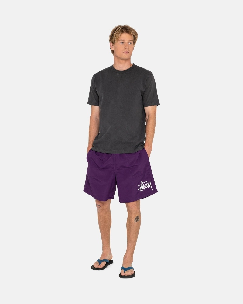 Stussy Big Basic Men's Shorts Purple | IL0000618