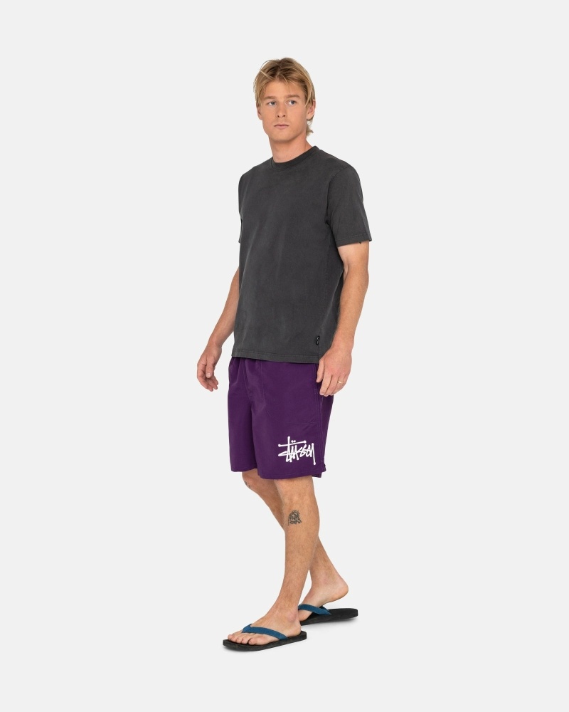 Stussy Big Basic Men's Shorts Purple | IL0000618