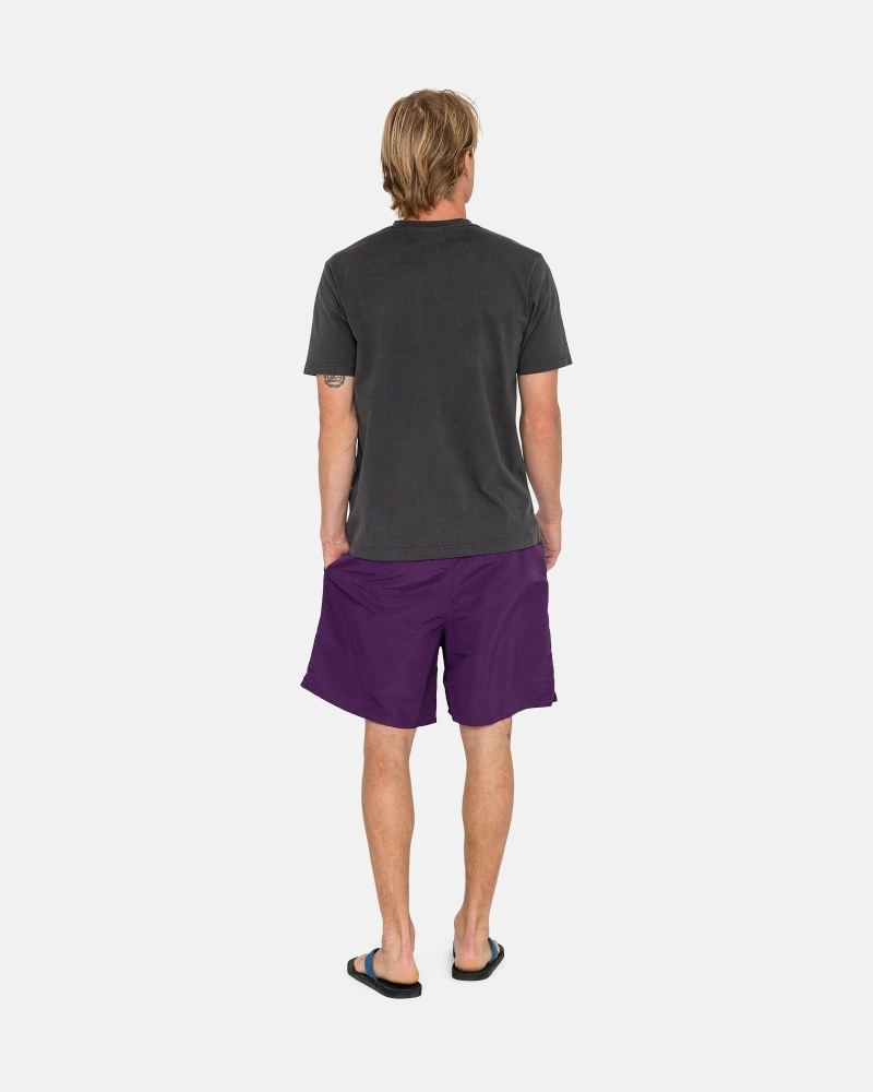 Stussy Big Basic Men's Shorts Purple | IL0000618