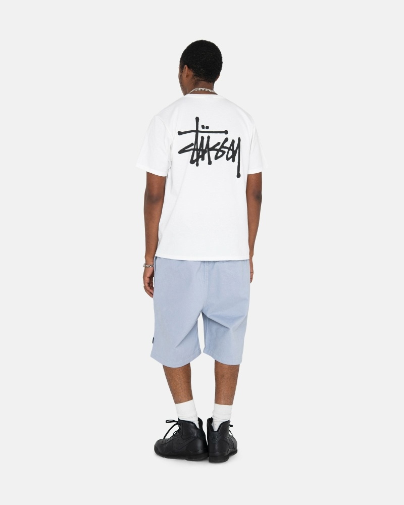 Stussy Brushed Men's Shorts Silver | IL0000635