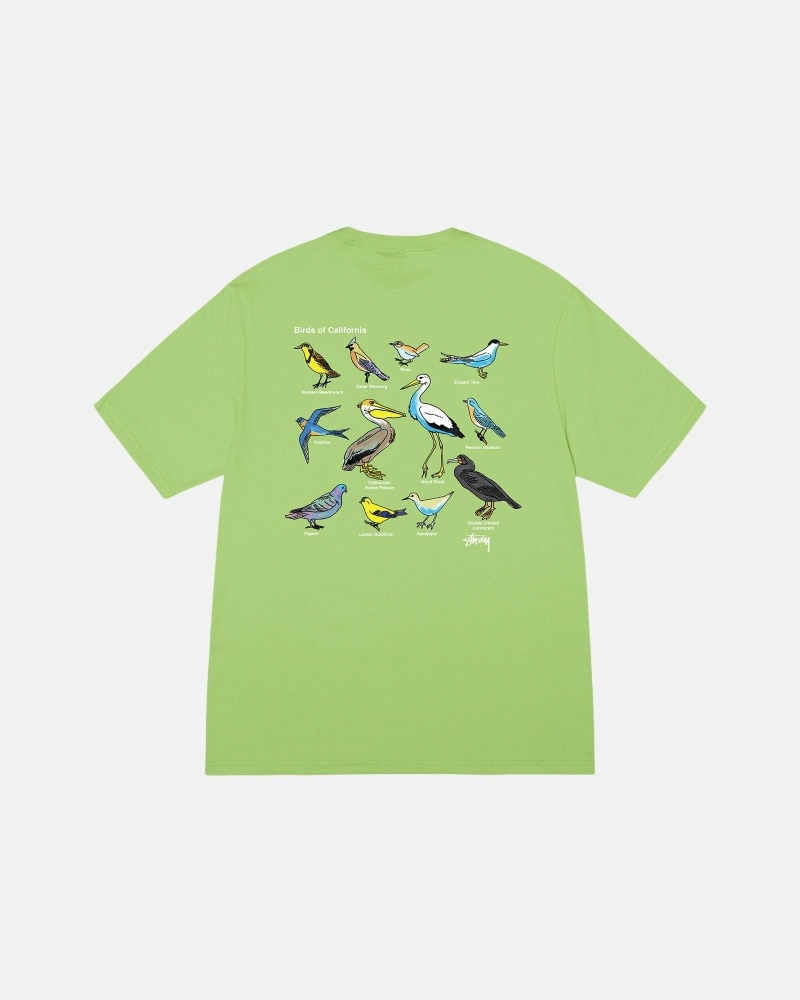 Stussy California Birds Men's T Shirts Green | IL0000118