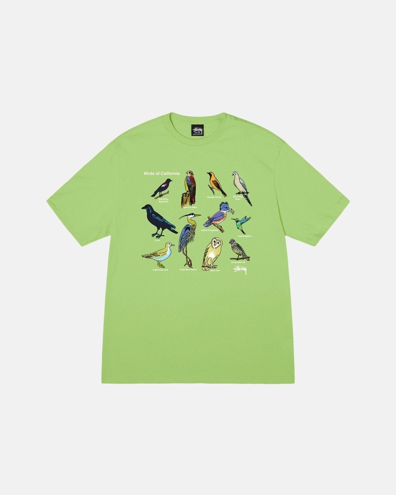 Stussy California Birds Men\'s T Shirts Green | IL0000118