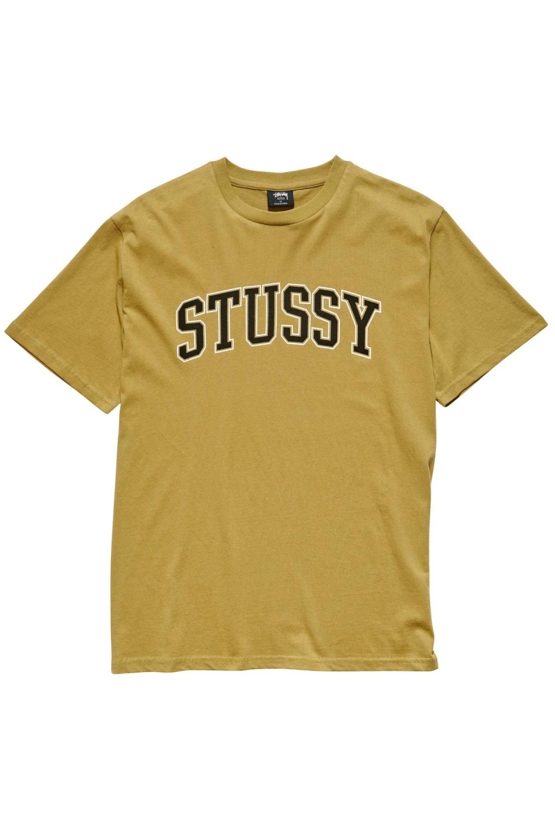 Stussy Collegiate BF Women\'s T Shirts Brown | IL0000133