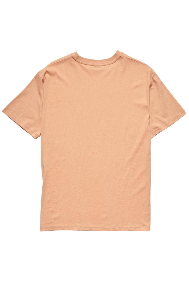 Stussy Collegiate BF Women's T Shirts Orange | IL0000132