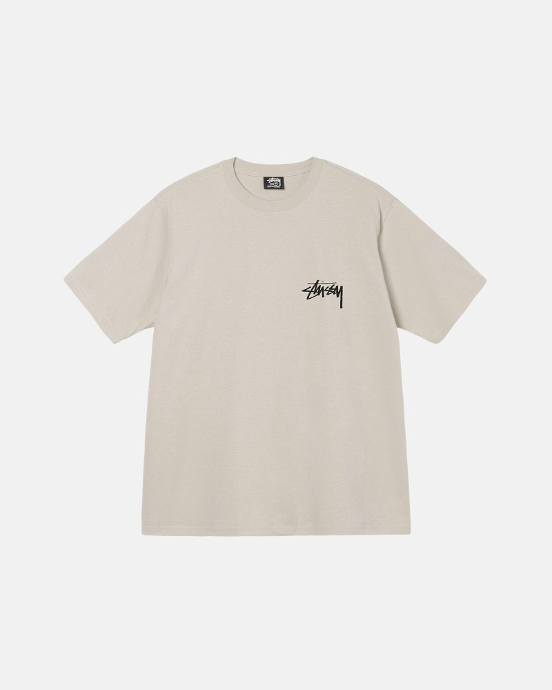 Stussy Diced Out Men's T Shirts Beige | IL0000160