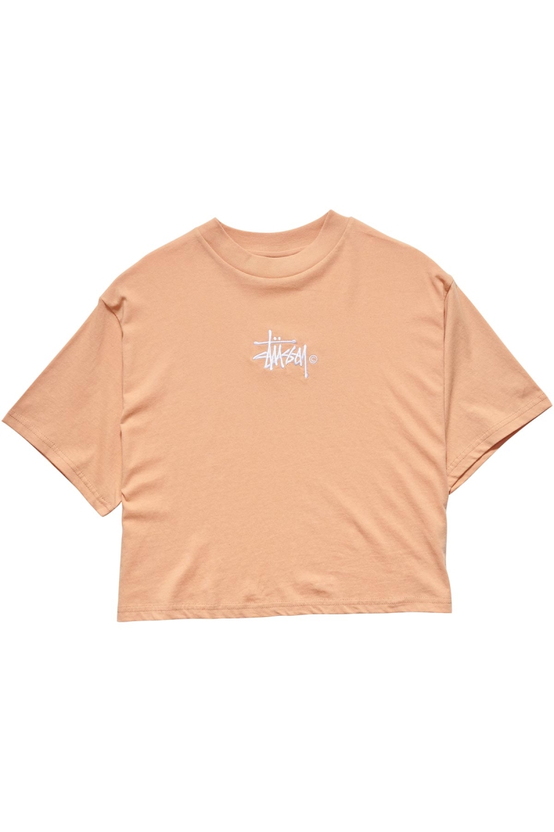 Stussy Graffiti Boxy Women\'s T Shirts Orange | IL0000174