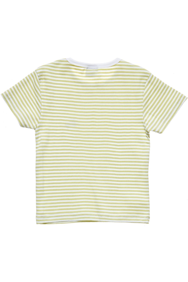 Stussy Hyde Stripe Rib Women's T Shirts Green | IL0000221