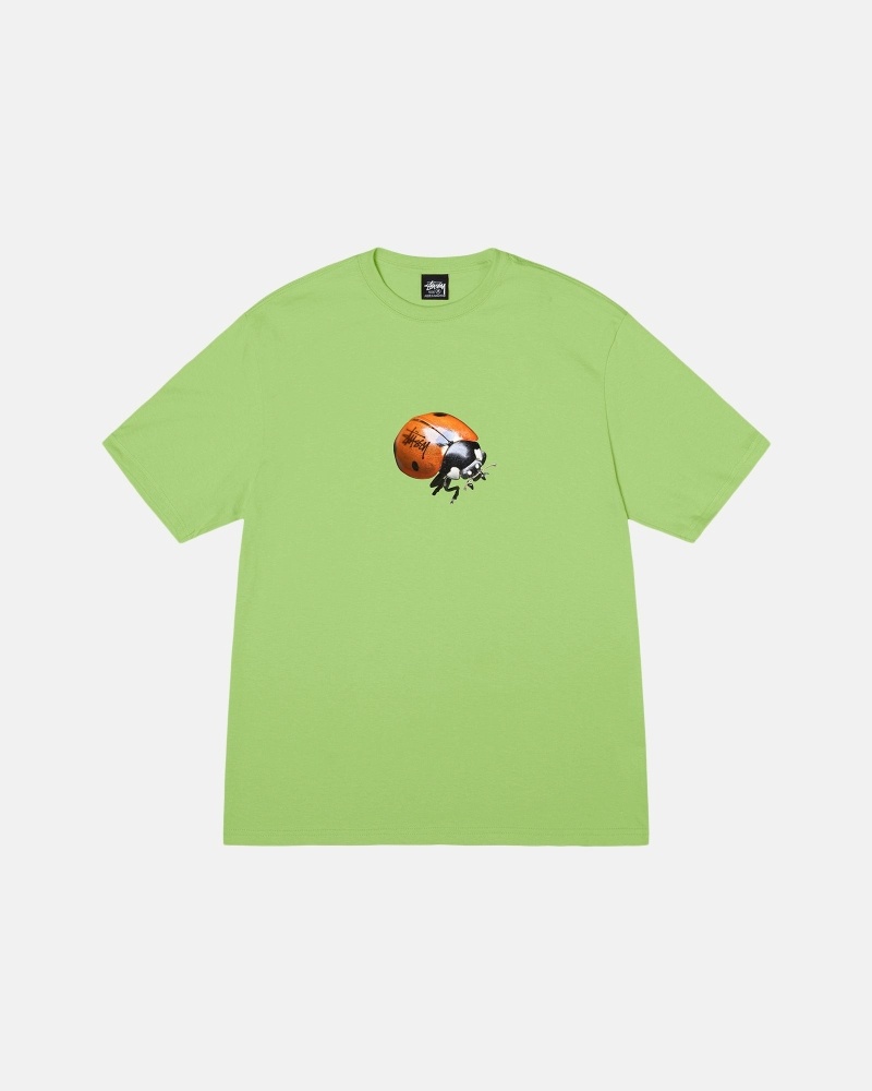 Stussy Ladybug Men\'s T Shirts Green | IL0000232