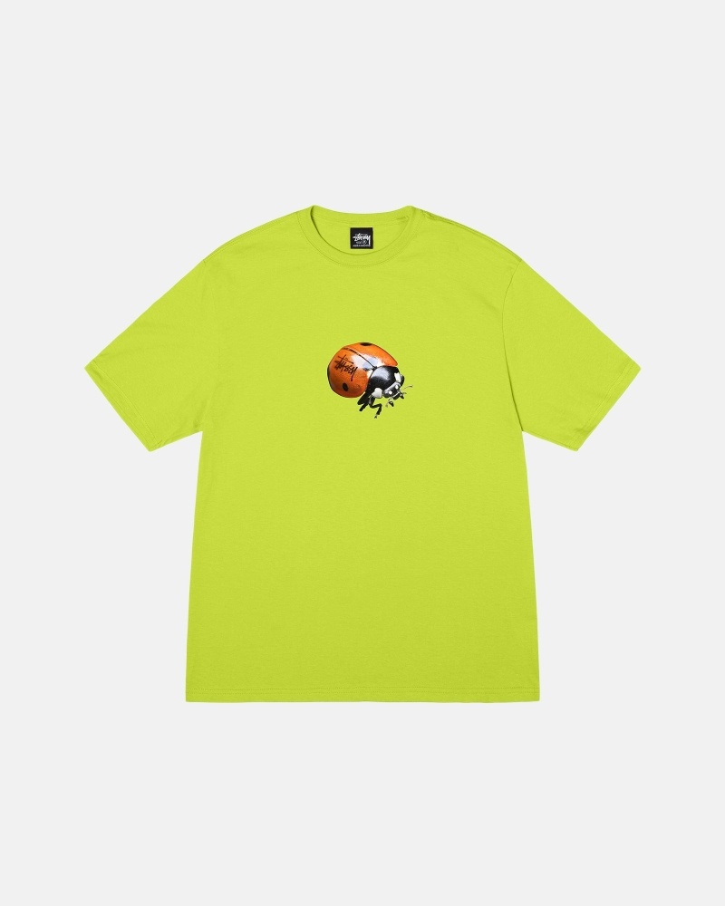 Stussy Ladybug Men\'s T Shirts Light Green | IL0000233