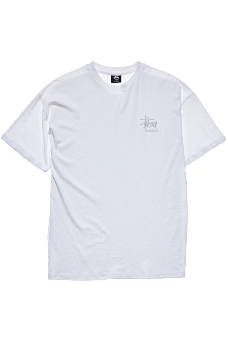 Stussy Regal Relaxed Women\'s T Shirts White | IL0000257