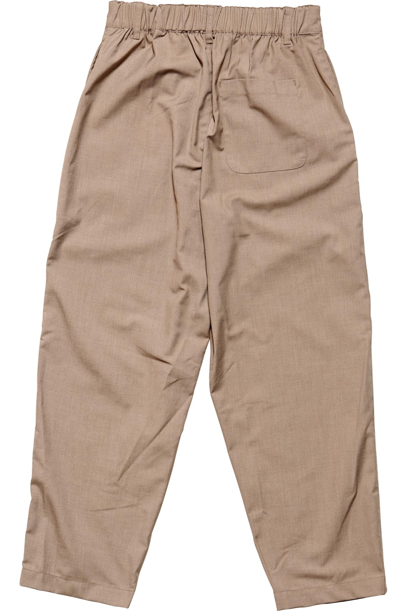 Stussy Sanford Pleated Trouser Women's Pants Brown | IL0000594