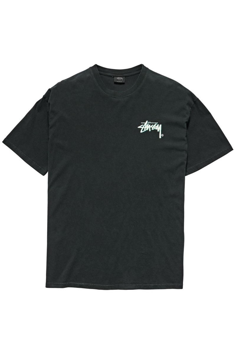 Stussy Shadow Stock SS Men\'s T Shirts Black | IL0000261