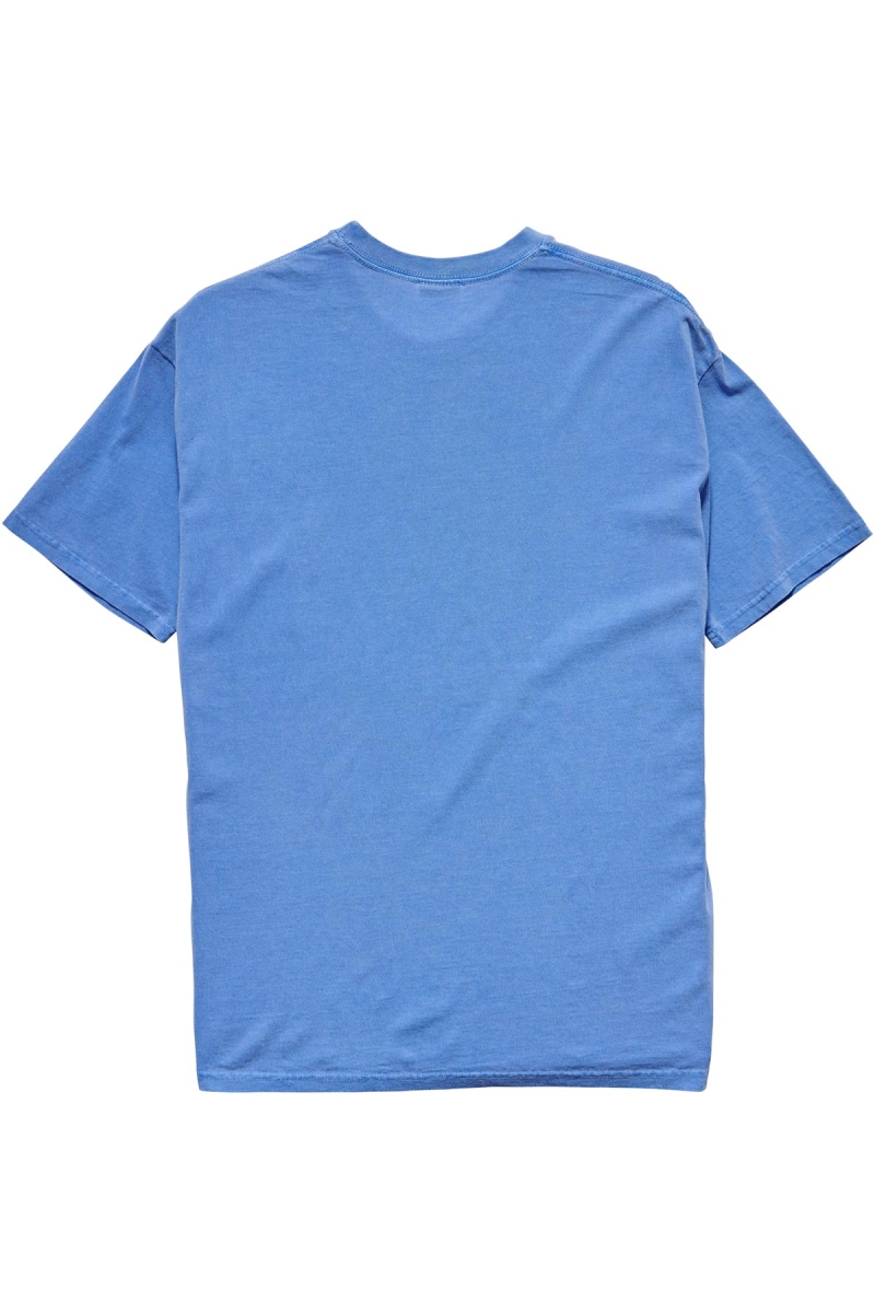 Stussy Shadow Stock SS Men's T Shirts Blue | IL0000263