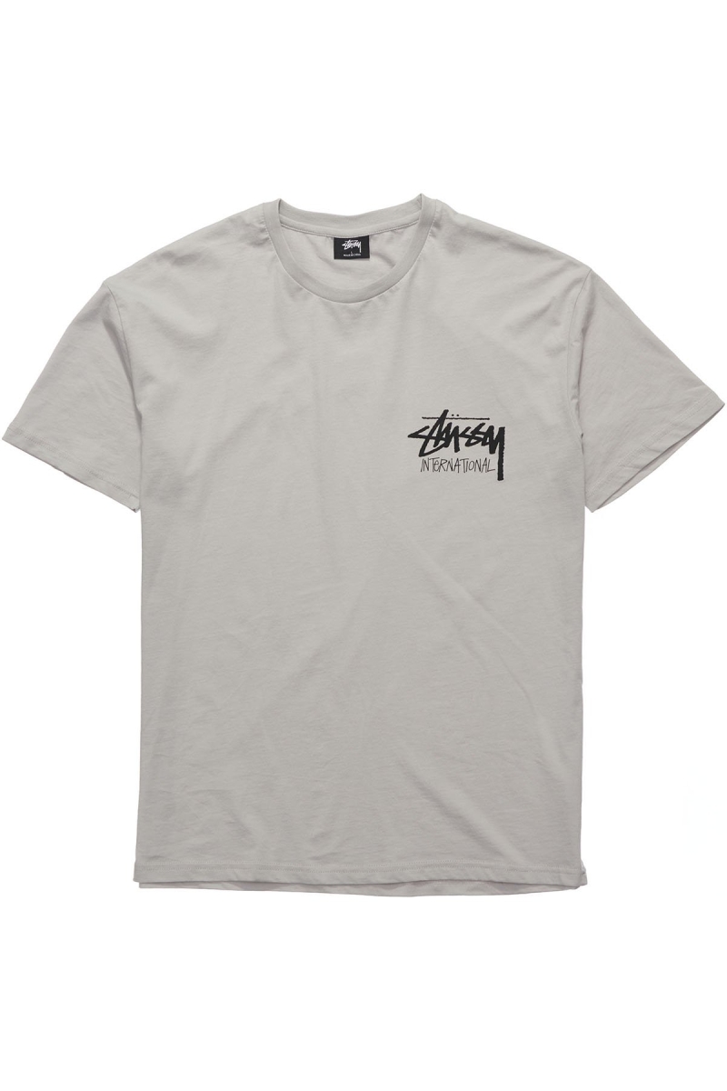 Stussy Solid Stock International SS Men\'s T Shirts Grey | IL0000267