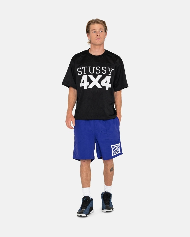 Stussy Ss-Link Men's Shorts Blue | IL0000685