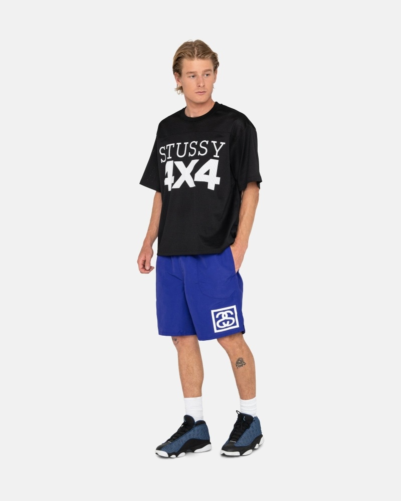 Stussy Ss-Link Men's Shorts Blue | IL0000685