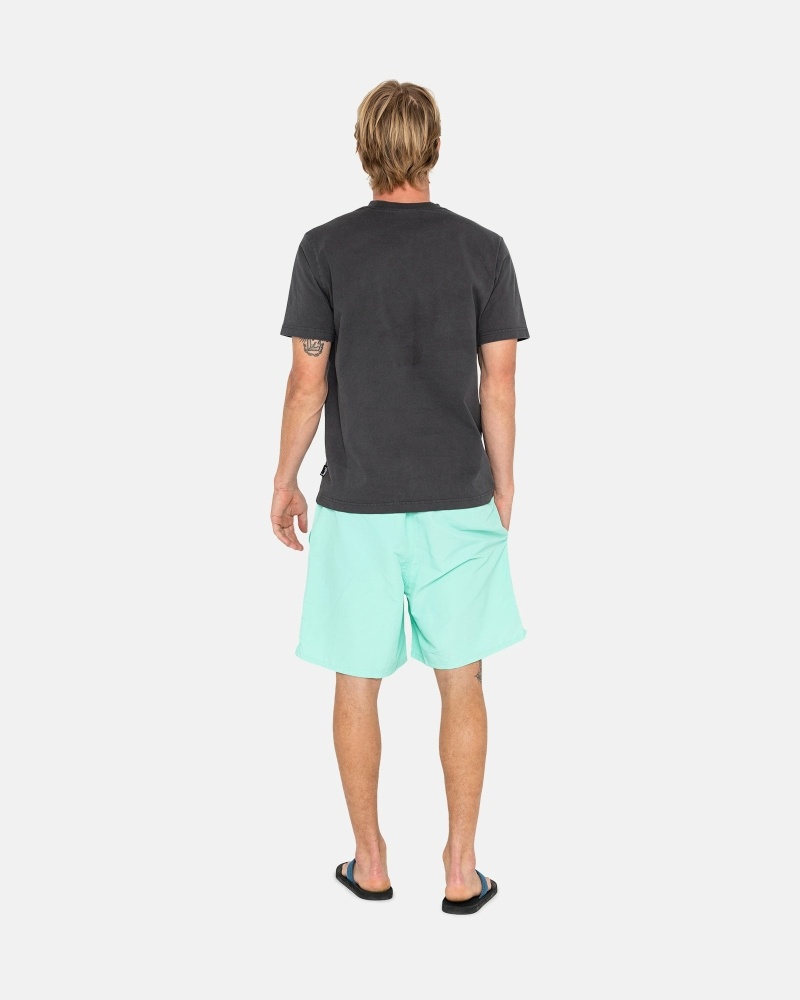 Stussy Stock Men's Shorts Light Turquoise | IL0000695