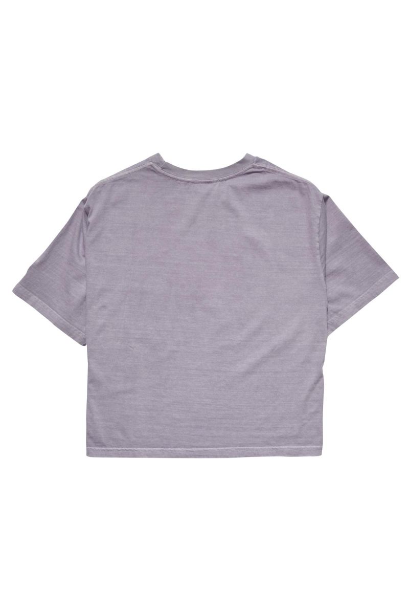 Stussy Text Waisted OS Tee Women's Sportswear Grey | IL0000797