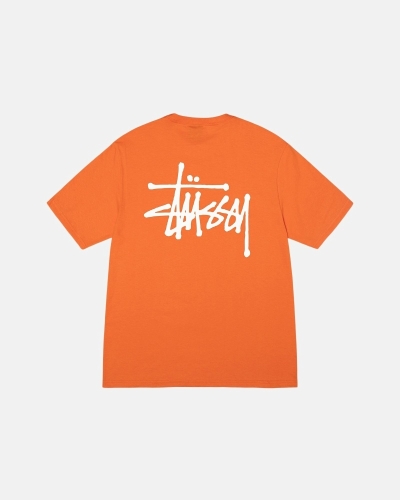 Stussy Basic Men's T Shirts Coral | IL0000110