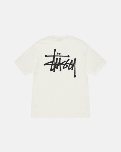 Stussy Basic Pigment Dyed Men's T Shirts Beige | IL0000105