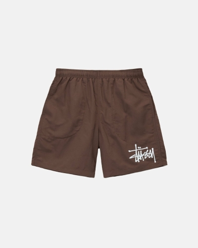 Stussy Big Basic Men's Shorts Coffee | IL0000620