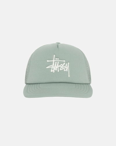 Stussy Big Basic Trucker Men's Caps Olive | IL0000401