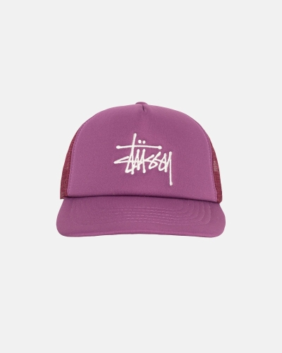 Stussy Big Basic Trucker Men's Caps Purple | IL0000400