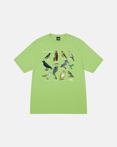 Stussy California Birds Men's T Shirts Green | IL0000118