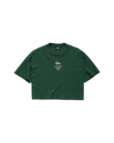 Stussy Graffiti Boxy Women's T Shirts Green | IL0000177