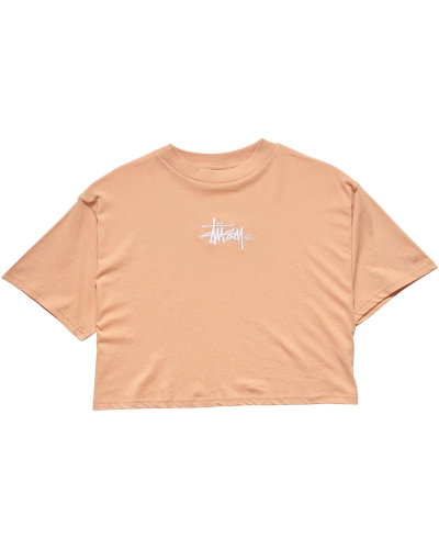 Stussy Graffiti Boxy Women's T Shirts Orange | IL0000174