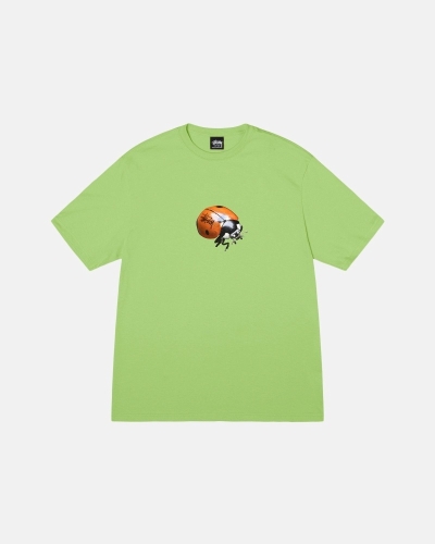 Stussy Ladybug Men's T Shirts Green | IL0000232