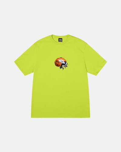 Stussy Ladybug Men's T Shirts Light Green | IL0000233