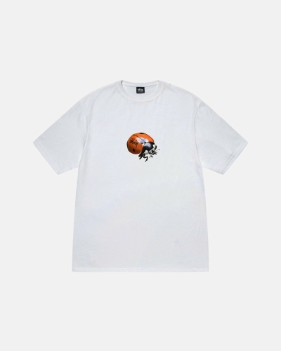 Stussy Ladybug Men's T Shirts White | IL0000234