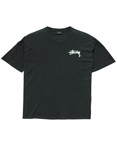 Stussy Shadow Stock SS Men's T Shirts Black | IL0000261