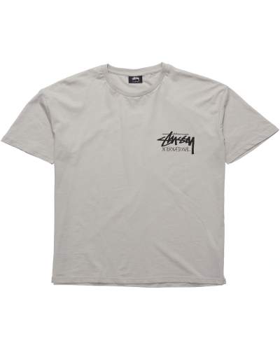 Stussy Solid Stock International SS Men's T Shirts Grey | IL0000267