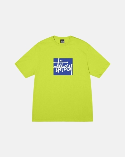 Stussy Stock Box Men's T Shirts Light Green | IL0000272