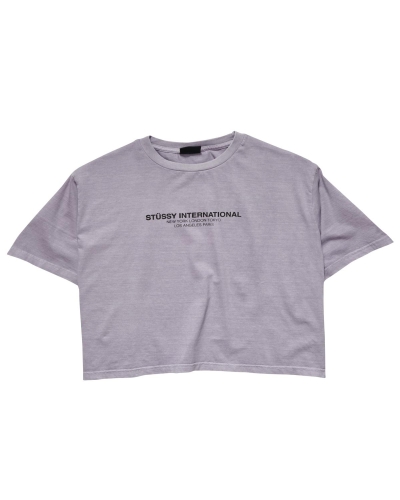 Stussy Text Waisted OS Women's T Shirts Grey | IL0000279